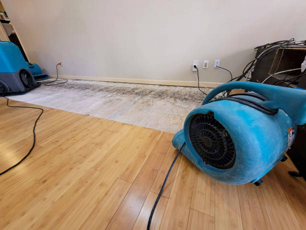 Professional Water Removal technician working in Snyder, NE
